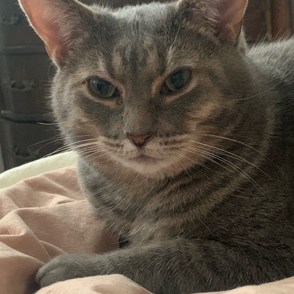 Meet your Posher, Julisa - Picture 1 of 1